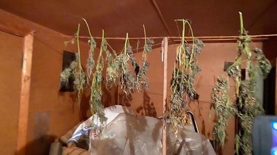 В Одесі трьох чоловіків підозрюють у виготовлені та розповсюдженні наркотиків В Одесі трьох чоловіків підозрюють у виготовлені та розповсюдженні наркотиків