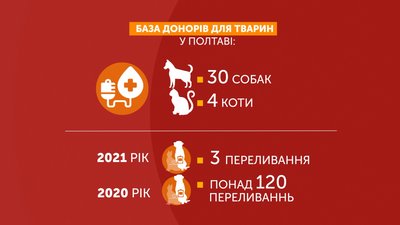 Графіка: база донорів для тварин у Полтаві Графіка: база донорів для тварин у Полтаві