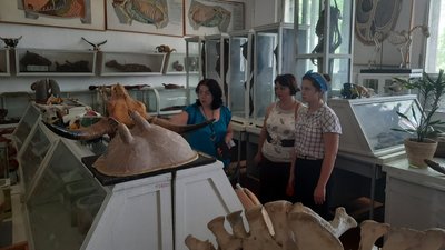 У Херсоні почали працювати підготовчі курси для абітурієнтів з окупованих територій У Херсоні почали працювати підготовчі курси для абітурієнтів з окупованих територій