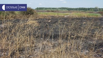 сморід суми сморід суми
