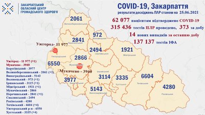На Закарпатті за добу виявили 8 нових випадків COVID-19