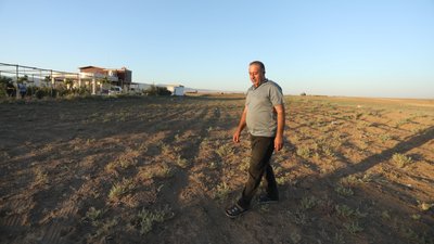 Сирія зіткнулася з найсильнішою посухою за 38 років. В країні продовольча криза