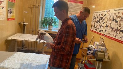 Паспорт державного зразка та чіп: як у Дніпрі підготувати тварину для виїзду за кордон Паспорт державного зразка та чіп: як у Дніпрі підготувати тварину для виїзду за кордон