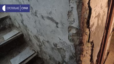 Музей і пліснява Музей і пліснява