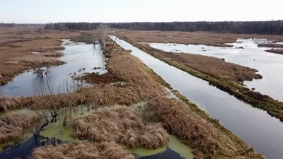 Зникає течія, місцями пересихає: як врятувати річку Остер