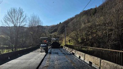 На Закарпатті підприємство намагалося нав'язати державі борг на 32 млн грн