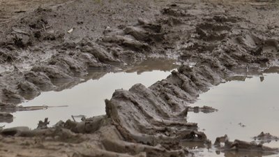 У Полтаві люди збираються самостійно прокладати дорогу до кладовища У Полтаві люди збираються самостійно прокладати дорогу до кладовища