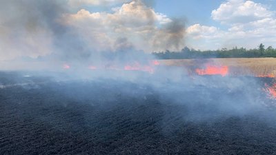 На Донеччині за добу згоріло понад 70 га пшениці