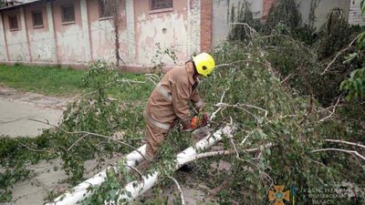 Негода на Полтавщині: знеструмлені населені пункти та повалені дерева
