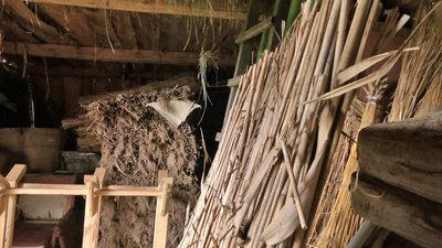 У музеї-скансені на Волині реставрують автентичні хати У музеї-скансені на Волині реставрують автентичні хати