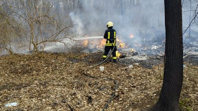 На Черкащині горів сухостій