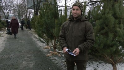 Сім протоколів, 77 вилучених дерев: у Луцьку відбувся рейд ялинковими ярмарками Сім протоколів, 77 вилучених дерев: у Луцьку відбувся рейд ялинковими ярмарками