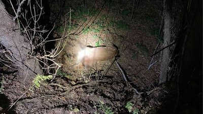 На Черкащині браконьєр вбив самку оленя плямистого На Черкащині браконьєр вбив самку оленя плямистого