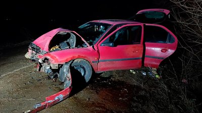 ДТП на Чернігівщині: автівка врізалася в дерево