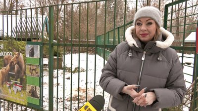 Зима в Луцькому зоопарку: як живуть тварини у відкритих і "теплих" вольєрах Зима в Луцькому зоопарку: як живуть тварини у відкритих і "теплих" вольєрах