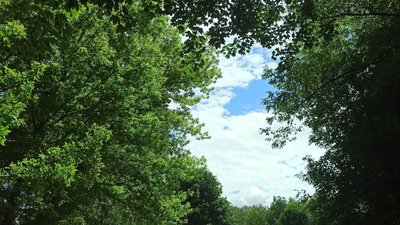 тернопіль, дерева, небо, літо, 28 липня 2026 року