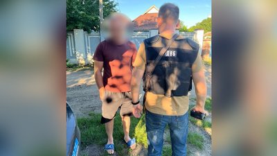 Незаконна вирубка лісу на Вінниччині