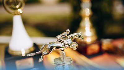 Спортсмени з Тернопільщини вибороли медалі на чемпіонаті з кінного спорту Спортсмени з Тернопільщини вибороли медалі на чемпіонаті з кінного спорту