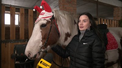 "Дають можливість розрядитися": як коні допомагають в реабілітації військових в Луцькій громаді — реабілітологиня Олександра Ткачик "Дають можливість розрядитися": як коні допомагають в реабілітації військових в Луцькій громаді — реабілітологиня Олександра Ткачик