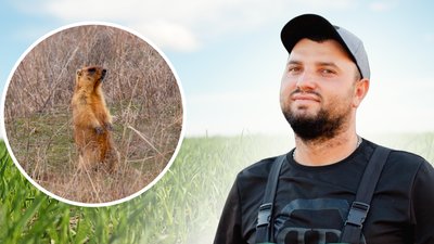 "Ріпак не сильно люблять, але гектара півтора-два вже з'їли". Як аграрій з Лозівщини ділить поля з бабаками