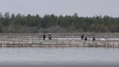 Геройський солезавод на Херсонщині виставлять на аукціон