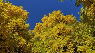 Осінь у Львові