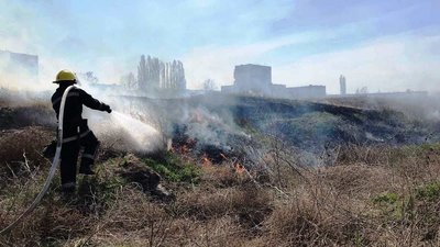 За добу на Херсонщині 9 разів горів сухостій