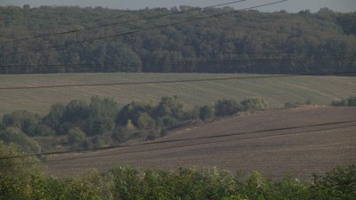 Земельна ділянка, яку передали підприємцю-депутату сільської ради Юрію Шлапаку, 3 жовтня 2023. Фото: Суспільне Хмельницький