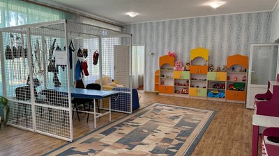 Повернення дітей-сиріт з евакуації. Чому австрійська сторона проти і які умови пропонують у Кропивницькому Повернення дітей-сиріт з евакуації. Чому австрійська сторона проти і які умови пропонують у Кропивницькому