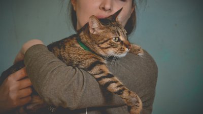 "Котиків шкода". На території Одеського жіночого монастиря облаштували притулок для тварин "Котиків шкода". На території Одеського жіночого монастиря облаштували притулок для тварин