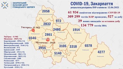На Закарпатті за добу виявили 29 нових випадків COVID-19 На Закарпатті за добу виявили 29 нових випадків COVID-19