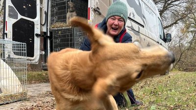 UAanimals: евакуація тварин з Донеччини, Дружківки