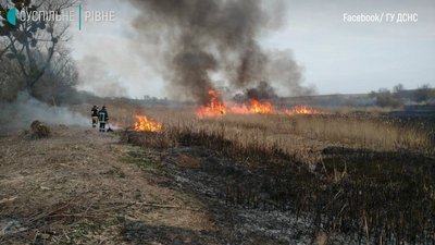 У ДСНС подякували батьку з сином, які почали гасити польову пожежу