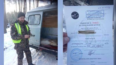 На Житомирщині в авто керівника мисливського клубу знайшли мертву козулю – протокол направили в суд