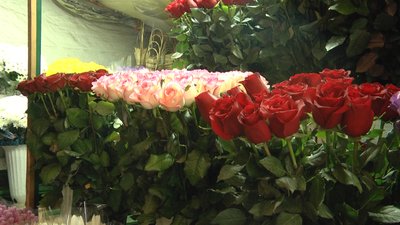 Ціни на квіти в Житомирі: скільки коштує букет квітів у День закоханих