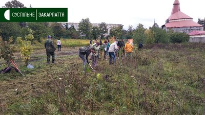 Дерева та кущі висаджували на трьох локаціях Ужгорода в рамках акції "Мільйон дерев за добу" Дерева та кущі висаджували на трьох локаціях Ужгорода в рамках акції "Мільйон дерев за добу"