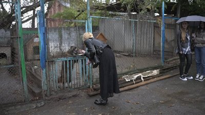 “Можна погратися або принести гостинця”: у вінницькому притулку організували акцію “Тварини під опіку”