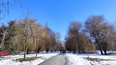 парк, рання весна