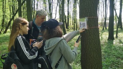 Екоквест: під Луцьком "хобіти" та "ельфи" долали 5-кілометровий маршрут Екоквест: під Луцьком "хобіти" та "ельфи" долали 5-кілометровий маршрут