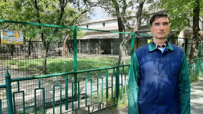 У Миколаївському зоопарку поповнення: народилося зебреня