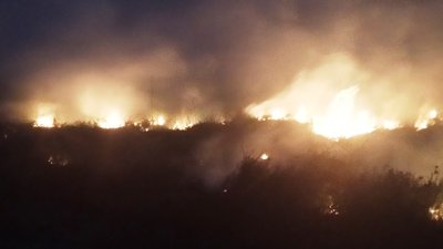 На Херсонщині знову горів сухостій, цього разу - на курорті