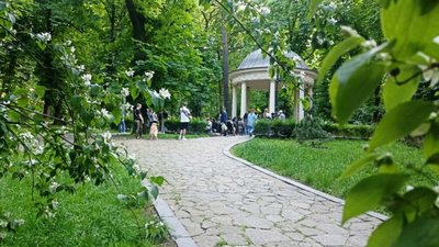 Пам'ятник Івану Франку біля парку