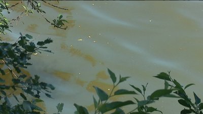 Через несправну каналізацію, нечистоти зливають у Косівщинське водосховище, що під Сумами Через несправну каналізацію, нечистоти зливають у Косівщинське водосховище, що під Сумами