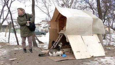 Як піклуватись про безхатніх тварин взимку Як піклуватись про безхатніх тварин взимку