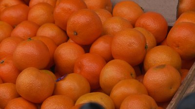 З Південної Африки, Італії та Туреччини: скільки коштують мандарини на ринку в Рівному З Південної Африки, Італії та Туреччини: скільки коштують мандарини на ринку в Рівному
