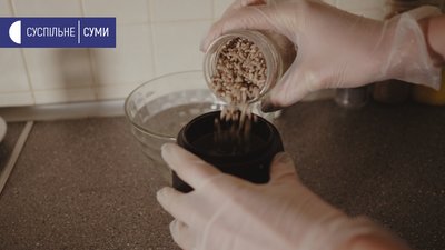 Виготовляє корисні солодощі — кондитерка із Сум Тетяна Сапун