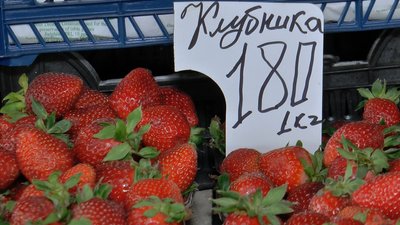 Як перевіряють полуницю на ринках Полтави на вміст нітратів Як перевіряють полуницю на ринках Полтави на вміст нітратів