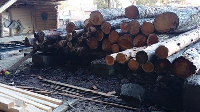 Контрабанда лісу на мільйони гривень: у Житомирі підозрюють п'ятьох спільників організованої групи Контрабанда лісу на мільйони гривень: у Житомирі підозрюють п'ятьох спільників організованої групи