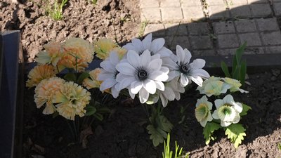 Щодня вивозять по вісім вантажівок сміття. У Кропивницькому прибирають на цвинтарях перед Великоднем Щодня вивозять по вісім вантажівок сміття. У Кропивницькому прибирають на цвинтарях перед Великоднем