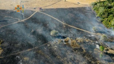 Отруєння чадним газом та згорілі вулики: рятувальники Харківщини закликають не випалювати траву Отруєння чадним газом та згорілі вулики: рятувальники Харківщини закликають не випалювати траву